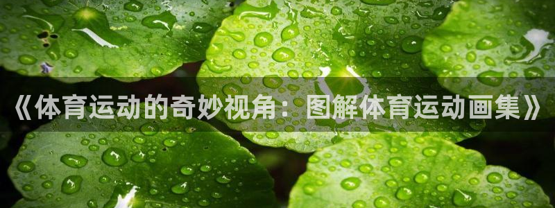 ug环球官网：《体育运动的奇妙视角：图解体育运动画集》